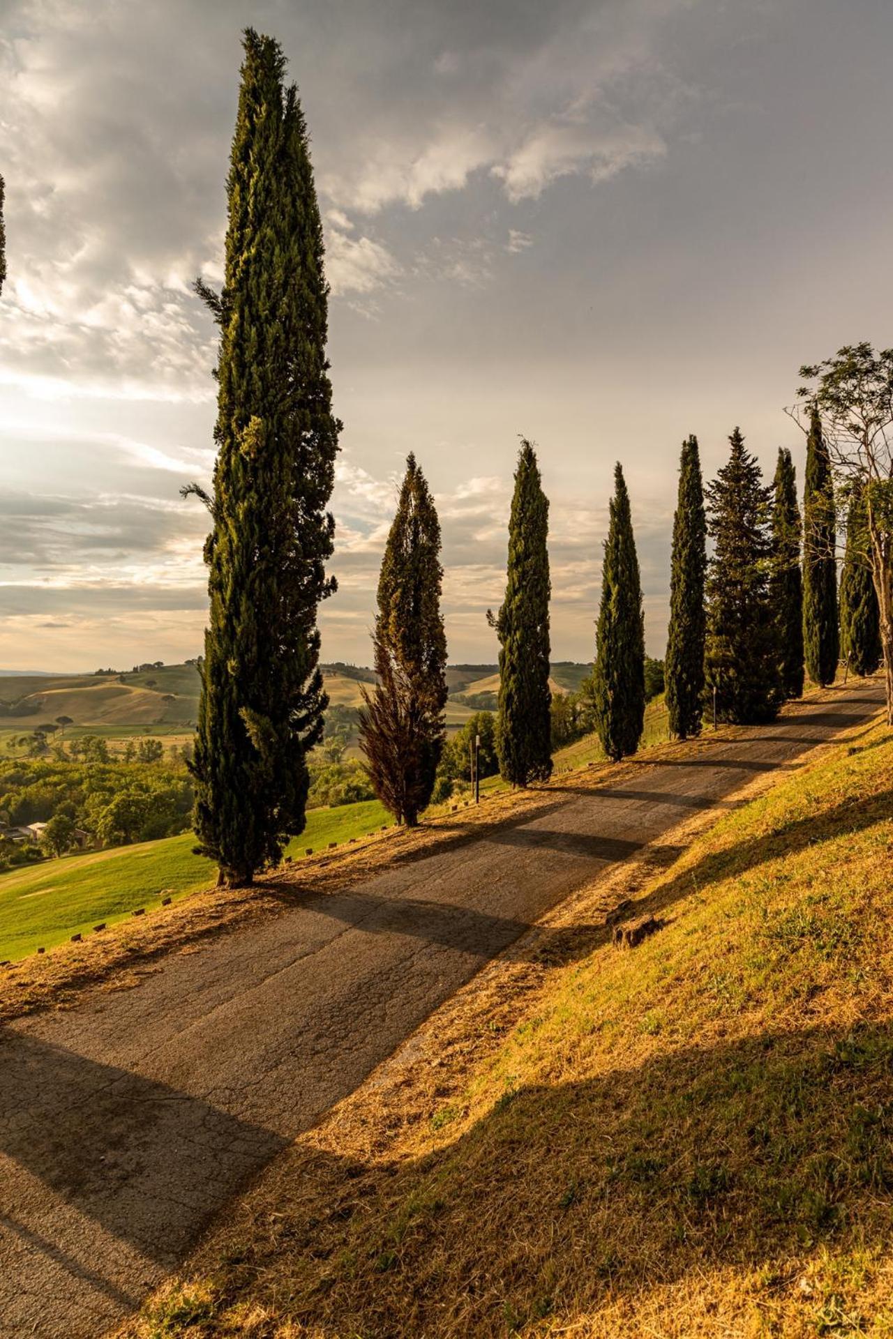 Agriturismo Percenna Buonconvento Ngoại thất bức ảnh
